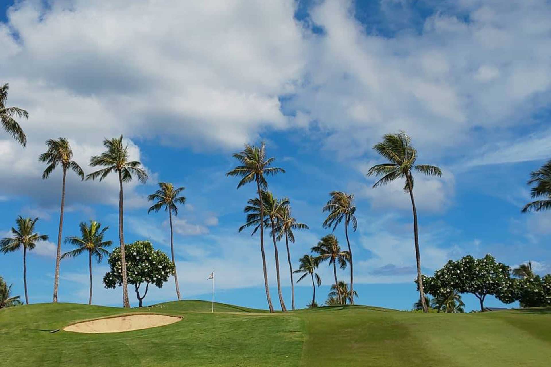 ハワイアンキルトのhaneli